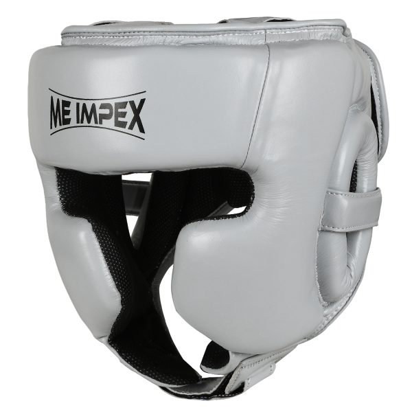 Frost Shield Headgear